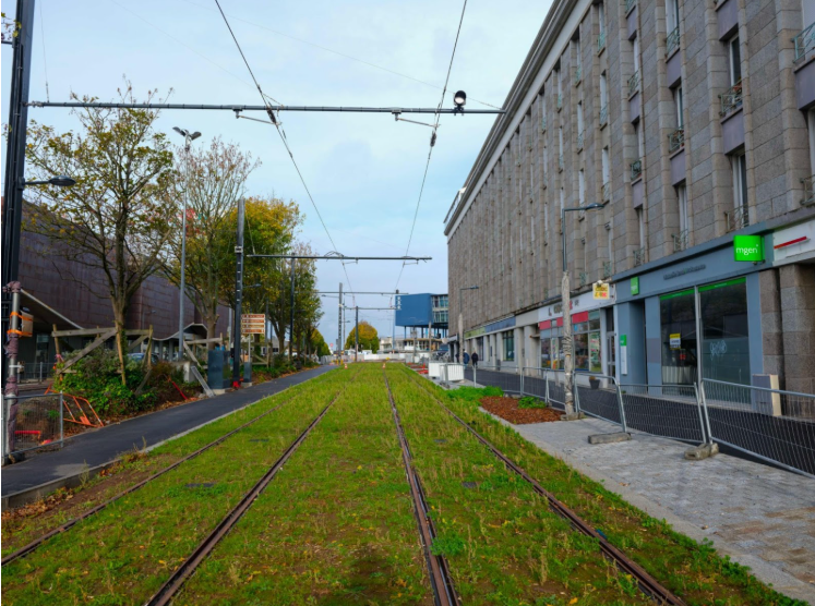 Végétal Clemenceau