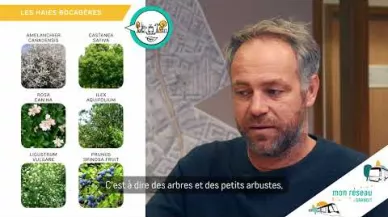 Miniature Quelle végétalisation des pôles d'échanges multimodaux (PEM) ?