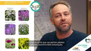 Miniature Quel sera le visage du végétal dans ce projet de transport en milieu urbain ?
